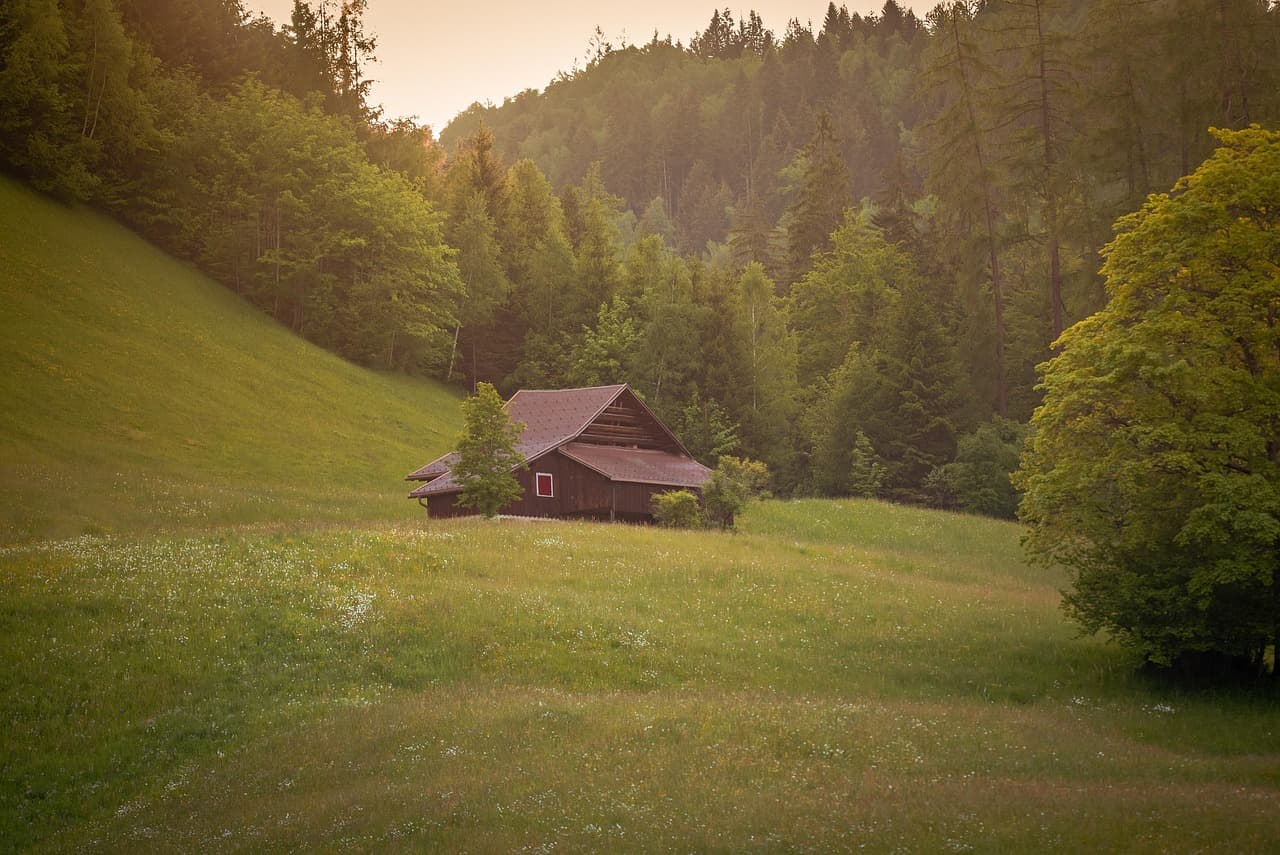 Meadow Hideaway Cabin